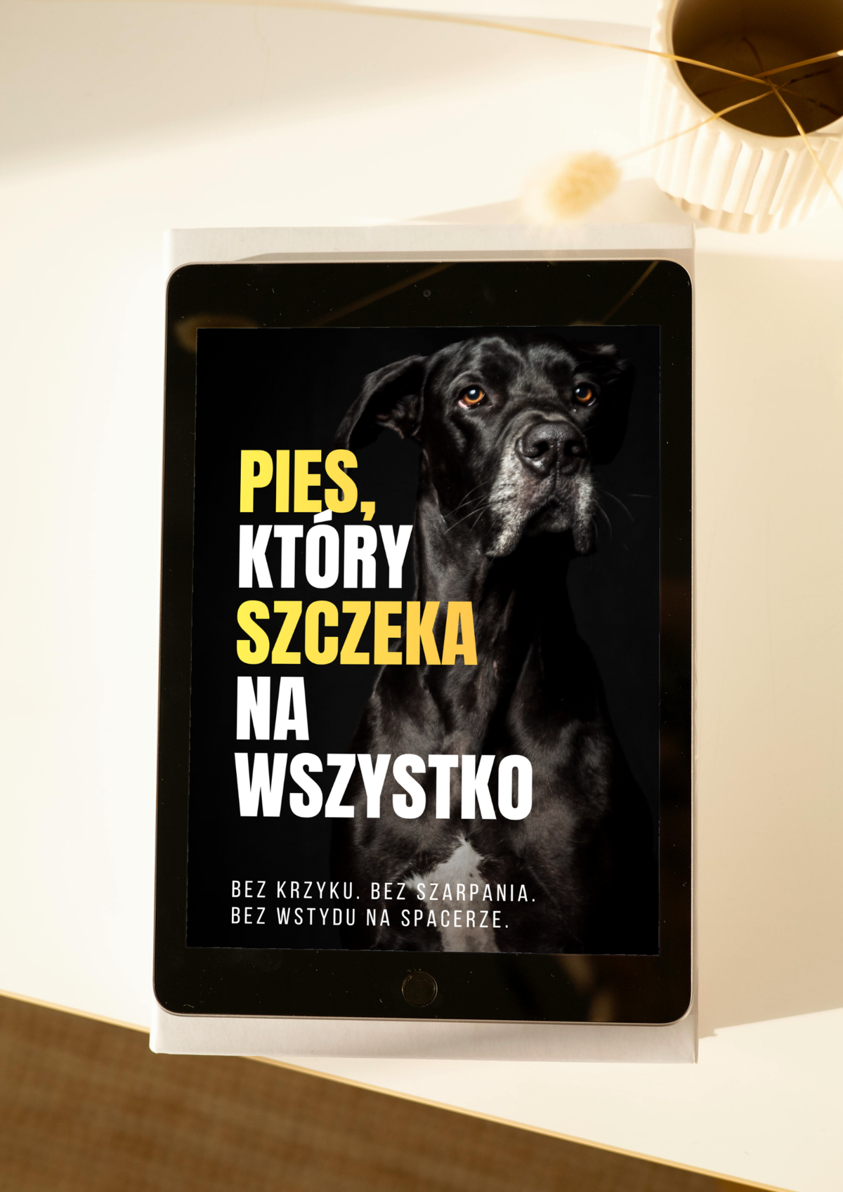 PIES, KTÓRY SZCZEKA NA WSZYSTKO - PLAN KROK PO KROKU